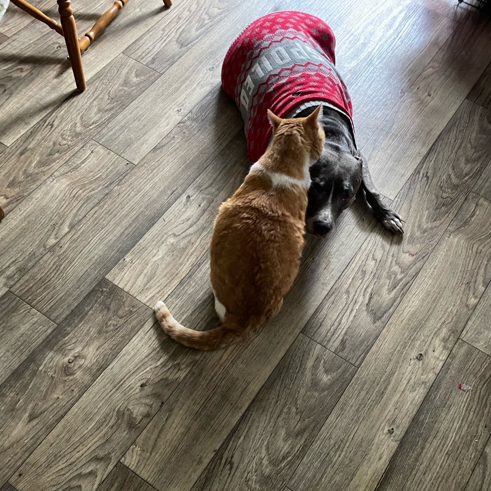 Meet your Posher, Ursula